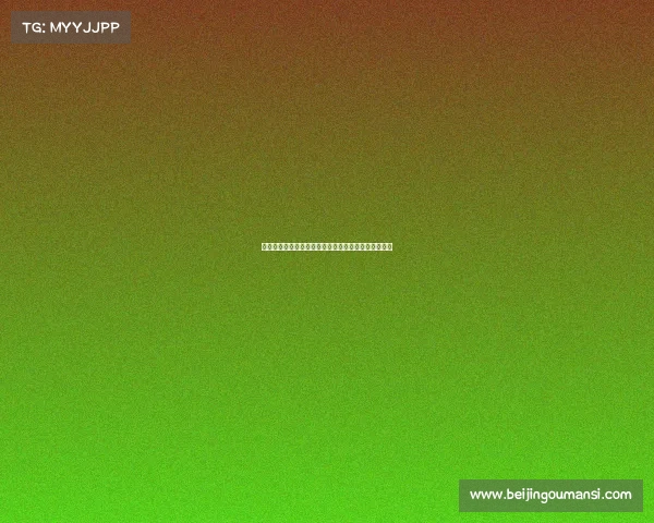 法甲技术总监解析未来发展方向与青训体系建设新机遇 法甲技术总监解析未来发展方向与青训体系建设新机遇