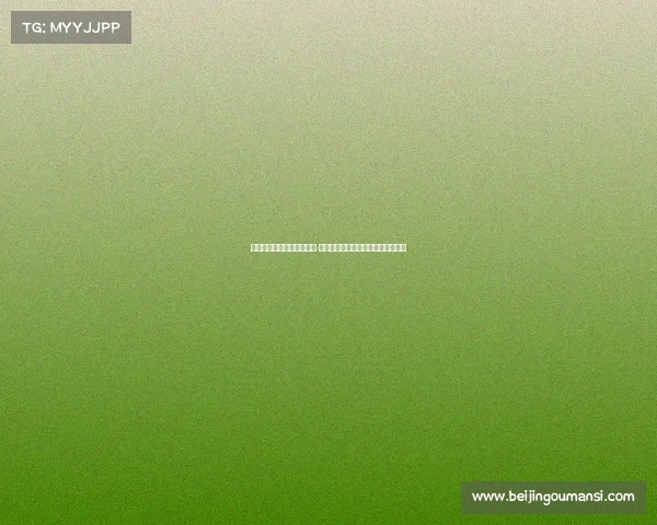 范加尔透露不再受癌症困扰 表示只愿执教英格兰德国等顶级球队 范加尔透露不再受癌症困扰 表示只愿执教英格兰德国等顶级球队